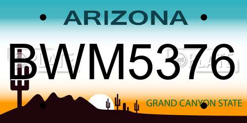 BWM5376 Arizona License Plate