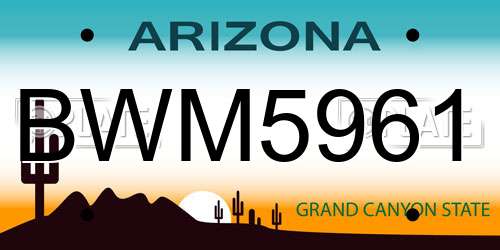 BWM5961 Arizona License Plate