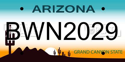BWN2029 Arizona License Plate