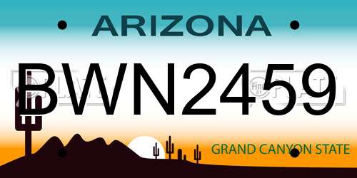 BWN2459 Arizona License Plate