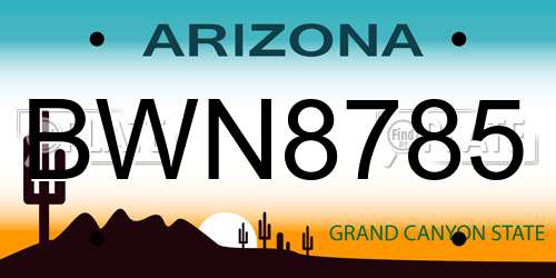 BWN8785 Arizona License Plate