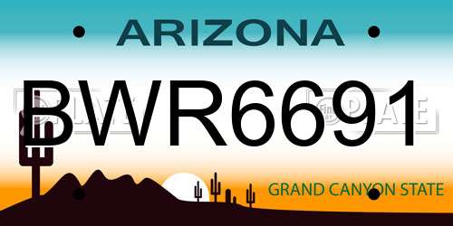 BWR6691 Arizona License Plate