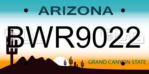 BWR9022 Arizona License Plate