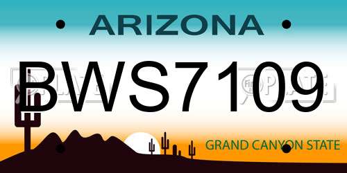 BWS7109 Arizona License Plate