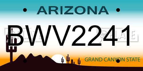 BWV2241 Arizona License Plate