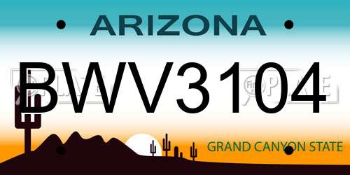 BWV3104 Arizona License Plate
