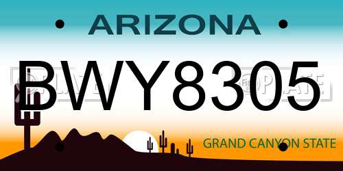 BWY8305 Arizona License Plate