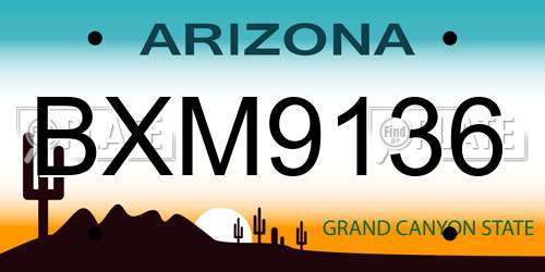 BXM9136 Arizona License Plate