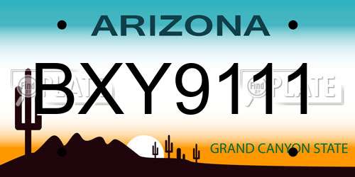 BXY9111 Arizona License Plate