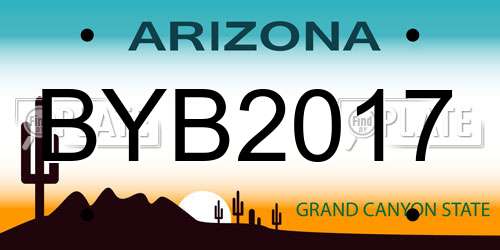BYB2017 Arizona License Plate