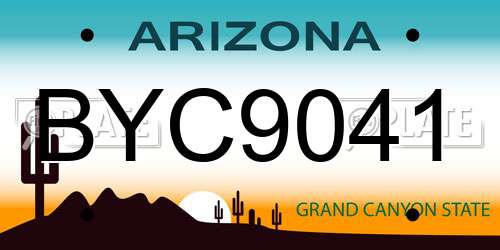 BYC9041 Arizona License Plate