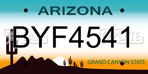 BYF4541 Arizona License Plate