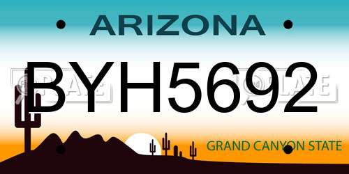 BYH5692 Arizona License Plate