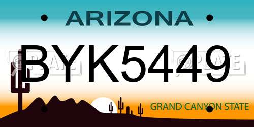 BYK5449 Arizona License Plate