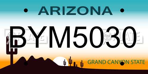 BYM5030 Arizona License Plate