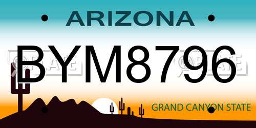BYM8796 Arizona License Plate