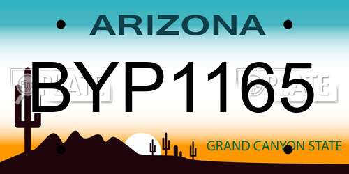 BYP1165 Arizona License Plate