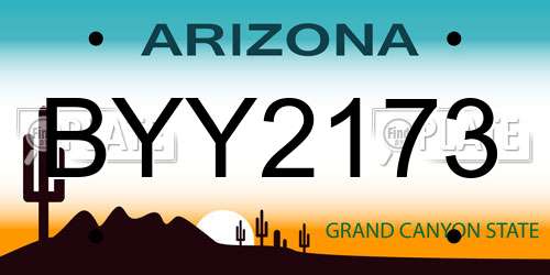 BYY2173 Arizona License Plate
