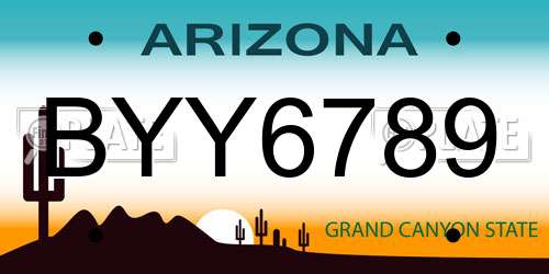 BYY6789 Arizona License Plate