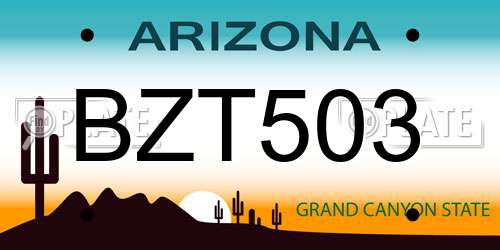 BZT503 Arizona License Plate