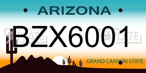 BZX6001 Arizona License Plate
