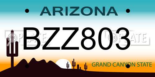 BZZ803 Arizona License Plate
