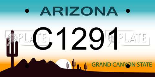 C1291 Arizona License Plate