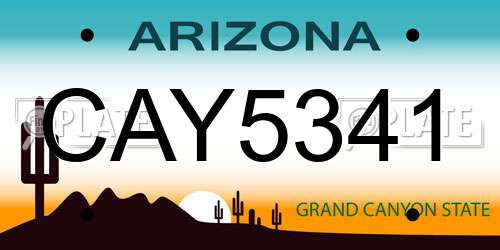 CAY5341 Arizona License Plate