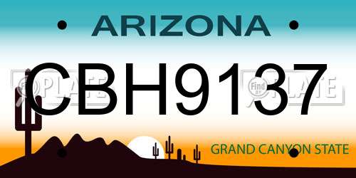 CBH9137 Arizona License Plate