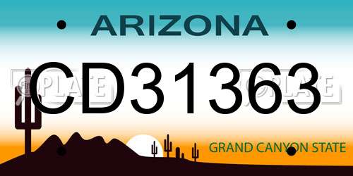 CD31363 Arizona License Plate