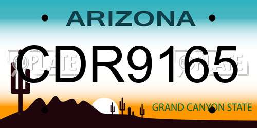 CDR9165 Arizona License Plate