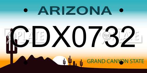 CDX0732 Arizona License Plate