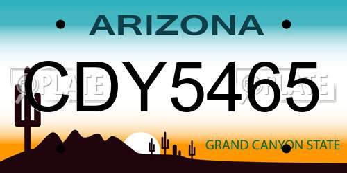 CDY5465 Arizona License Plate