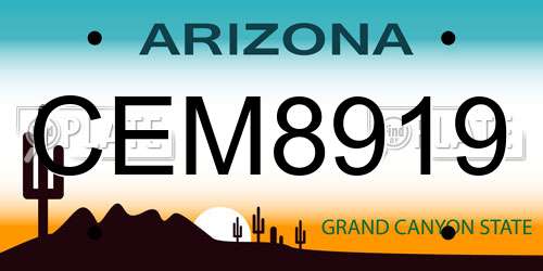 CEM8919 Arizona License Plate