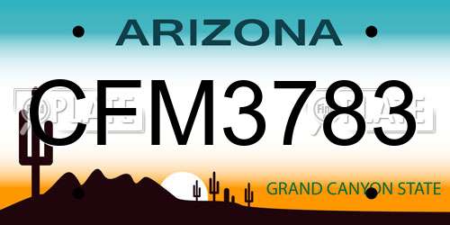 CFM3783 Arizona License Plate