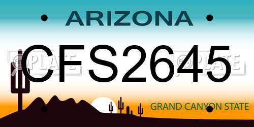 CFS2645 Arizona License Plate
