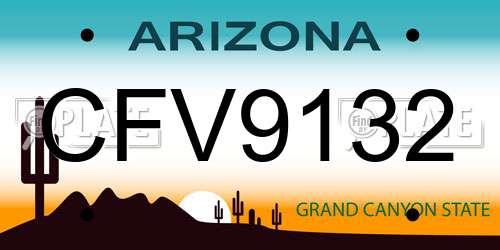CFV9132 Arizona License Plate