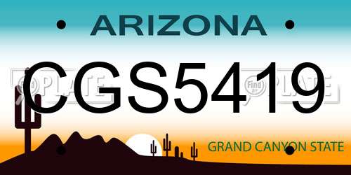 CGS5419 Arizona License Plate