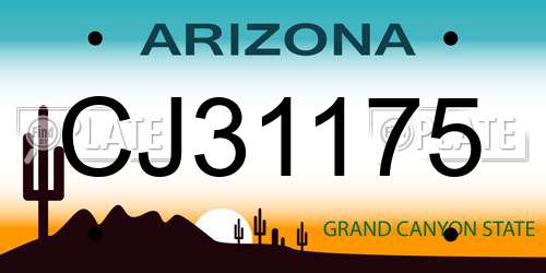 CJ31175 Arizona License Plate