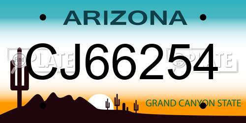 CJ66254 Arizona License Plate