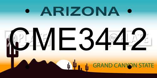 CME3442 Arizona License Plate