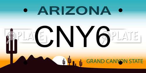 CNY6 Arizona License Plate