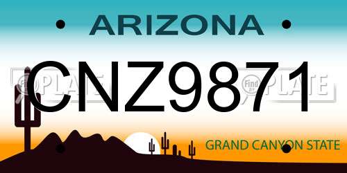 CNZ9871 Arizona License Plate