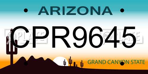 CPR9645 Arizona License Plate