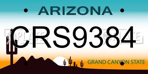 CRS9384 Arizona License Plate