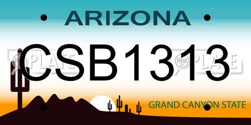 CSB1313 Arizona License Plate