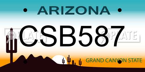 CSB587 Arizona License Plate