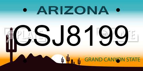 CSJ8199 Arizona License Plate