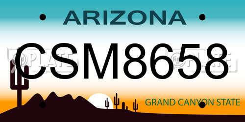 CSM8658 Arizona License Plate