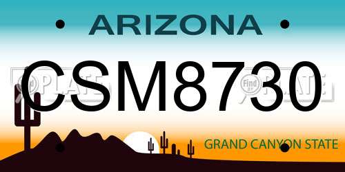 CSM8730 Arizona License Plate